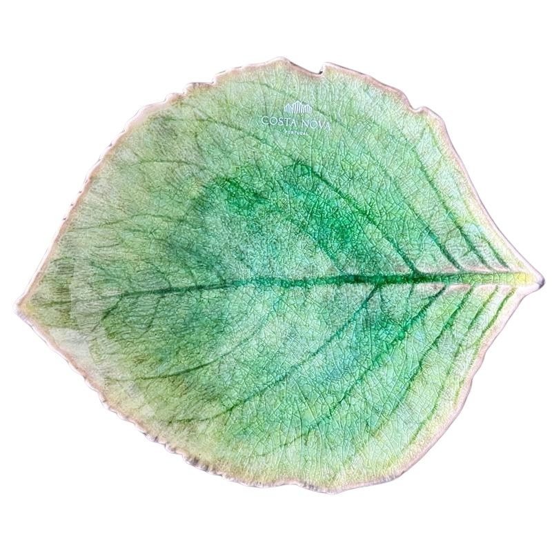 コスタノバ (COSTA NOVA) リヴィエラ RIVIERA ハイドランジア リーフ 18cm トマテ