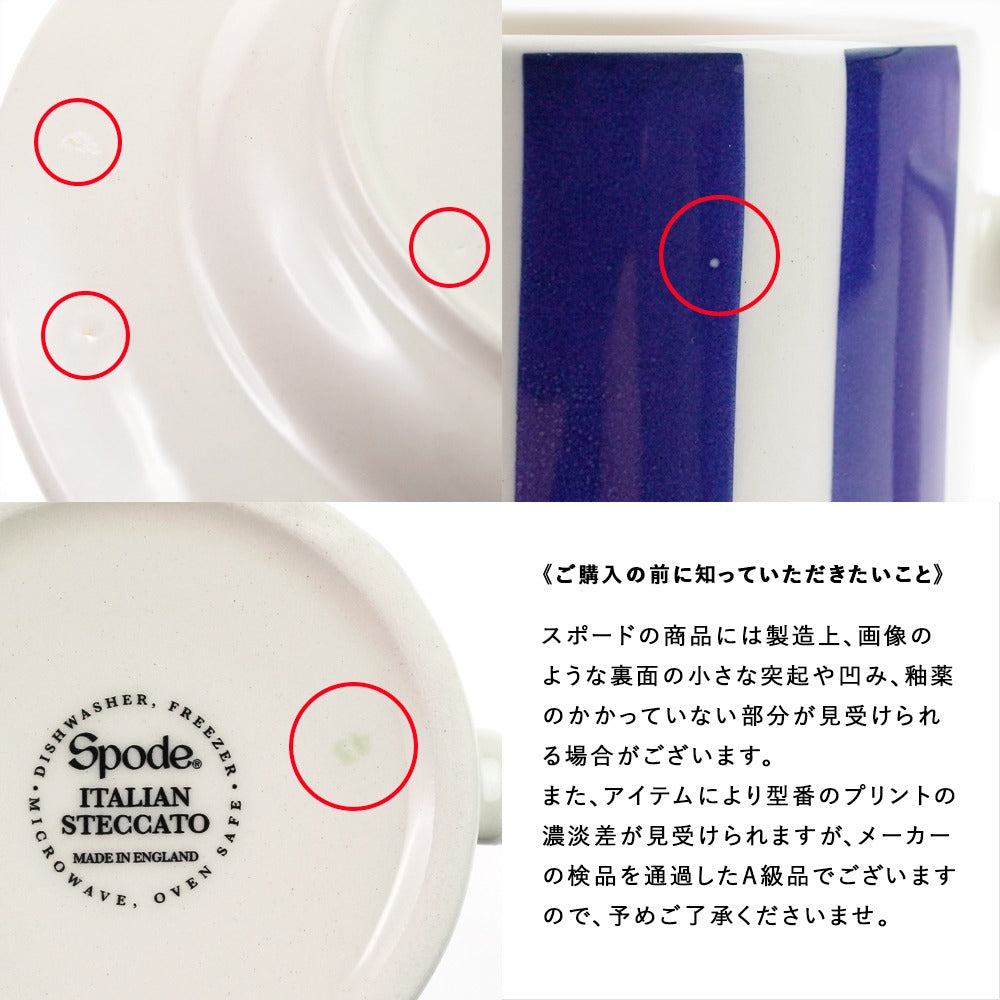 スポード (Spode) ステッカート サイドプレート 18cm ボールドストライプ