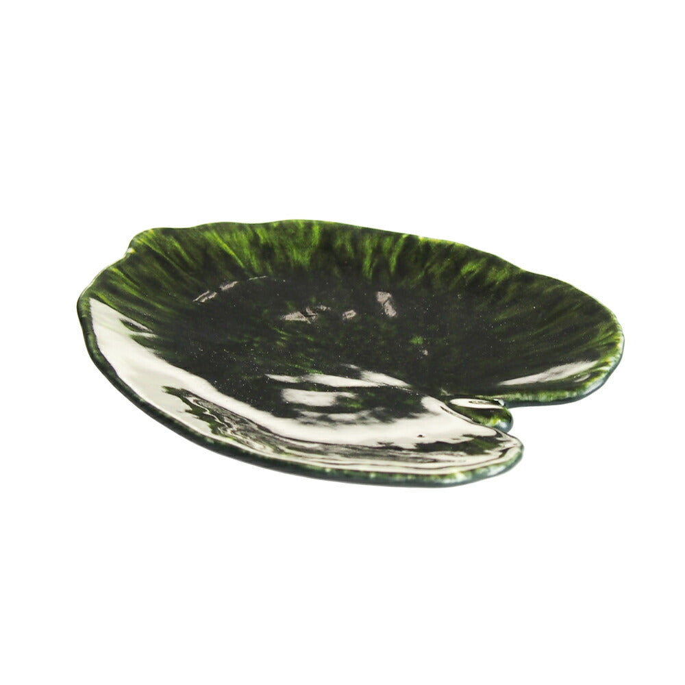 コスタノバ (COSTA NOVA) リヴィエラ RIVIERA アルケミル リーフ 18cm フォレ