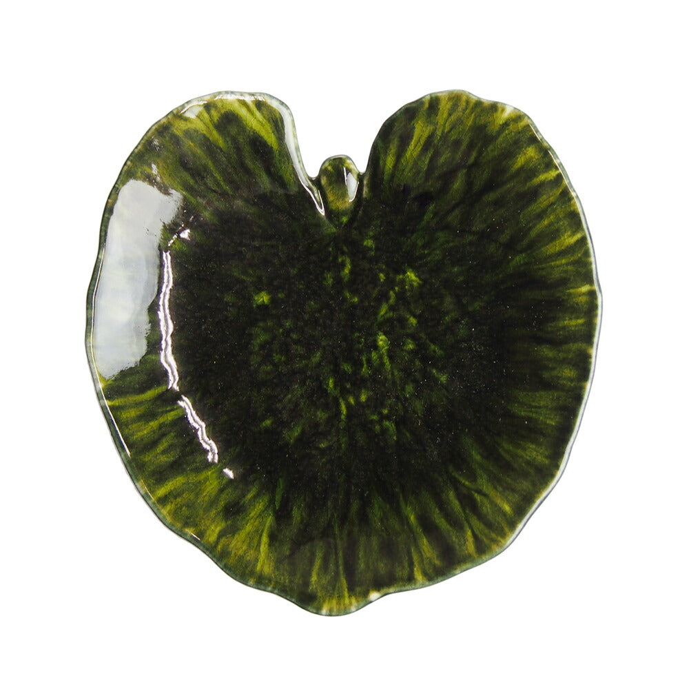 コスタノバ (COSTA NOVA) リヴィエラ RIVIERA アルケミル リーフ 18cm フォレ