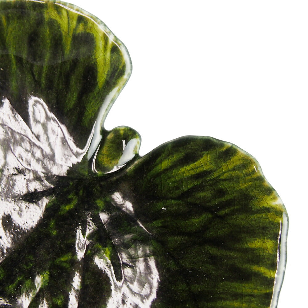 コスタノバ (COSTA NOVA) リヴィエラ RIVIERA アルケミル リーフ 18cm フォレ