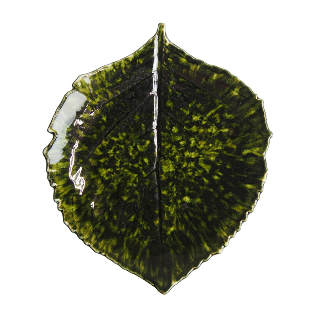 コスタノバ (COSTA NOVA) リヴィエラ RIVIERA ハイドランジア リーフ 22cm フォレ