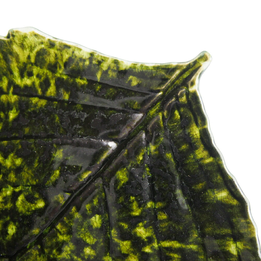 コスタノバ (COSTA NOVA) リヴィエラ RIVIERA ハイドランジア リーフ 22cm フォレ