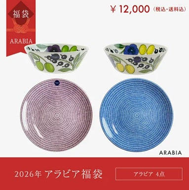 2026年福袋 アラビア avec24 20cmx2 パラティッシボウル13cmx2