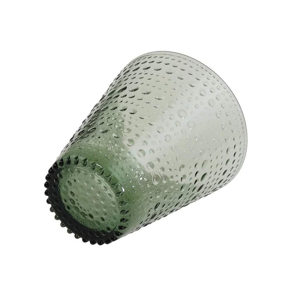 イッタラ (iittala) カステヘルミ タンブラー 300ml クリア 各色