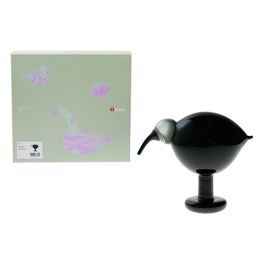 イッタラ (iittala) バード バイ オイバ・トイッカ トキ ダークグレイ 205x165