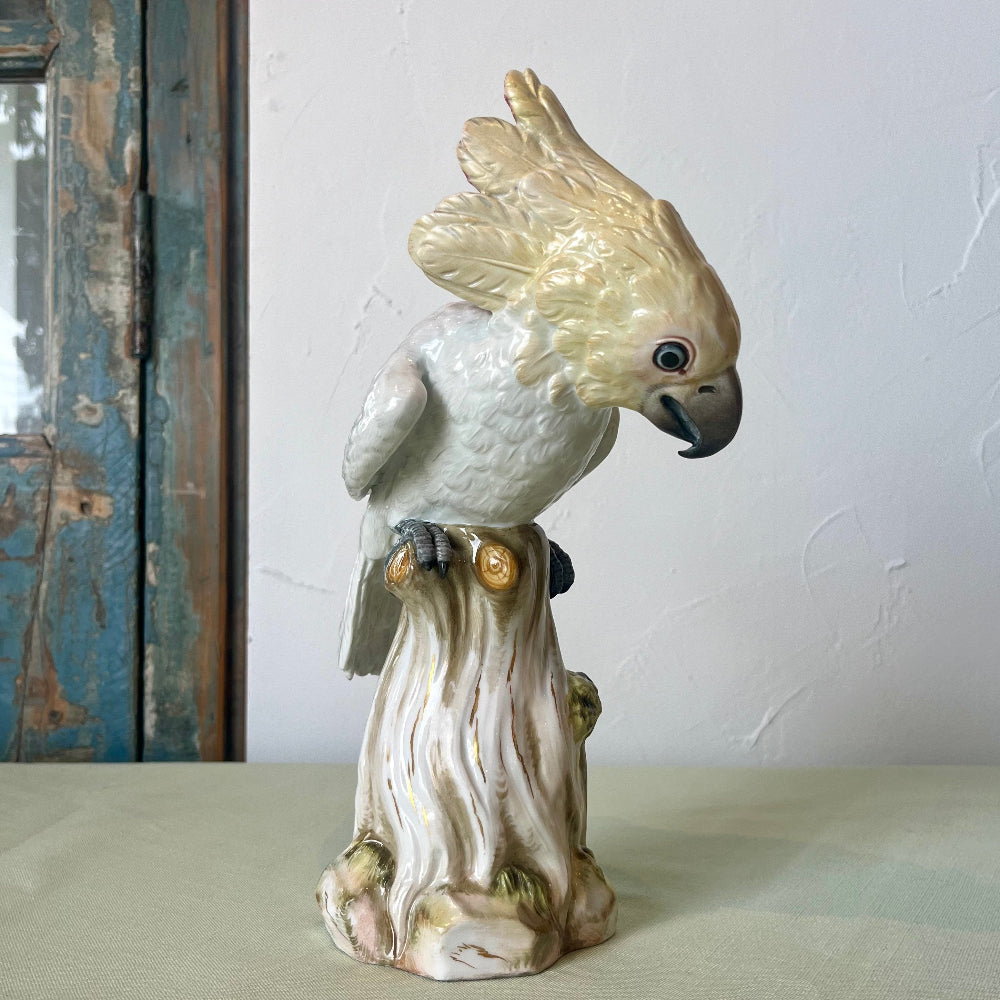 マイセン (Meissen) アンティーク 動物置物 オウム