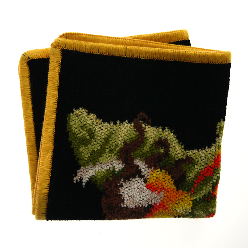 フェイラー (FEILER) フェアリー ウォッシュクロス 25cm 各色