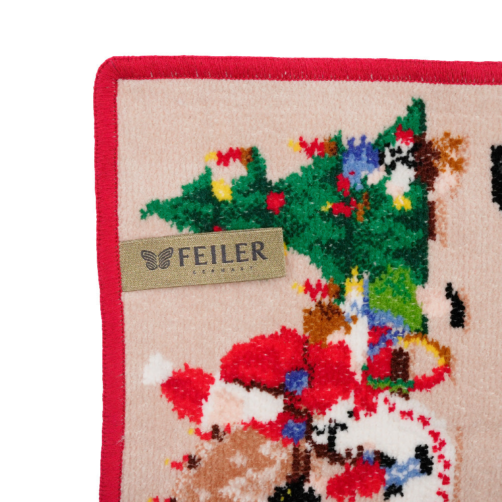 フェイラー (FEILER) エルツ山地 ERZGEBIRGEウォッシュクロス 25x25