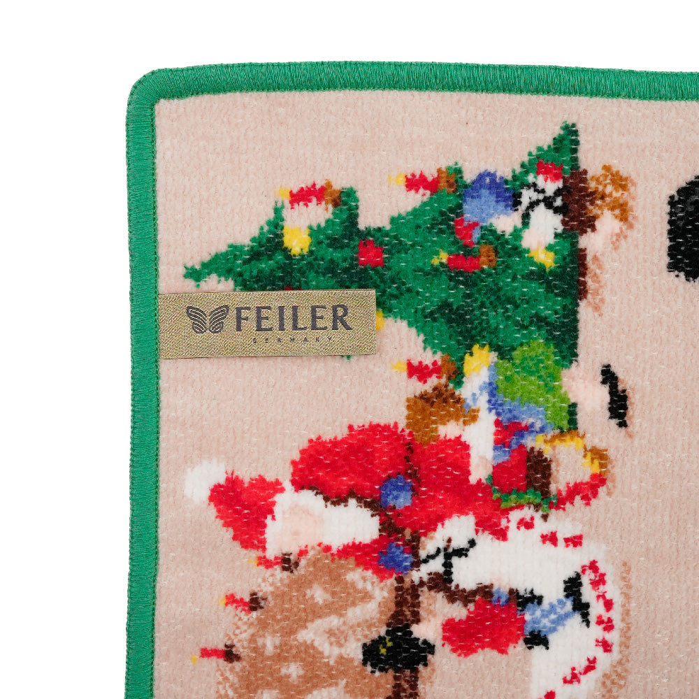 フェイラー (FEILER) エルツ山地 ERZGEBIRGEウォッシュクロス 25x25